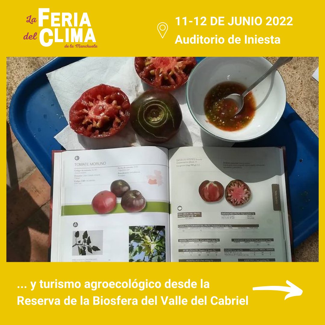 LMxClima's tweet photo. 👉🏽Expositor de @redtomatospain junto a @lalibelulayogaypermacultura - Comida de agricultura que enriquece el medioambiente y salud, ¿qué se puede pedir más? 🍅

➡️ No te lo pierdas y asegúrate ahora tu entrada gratuita para La Feria del Clima de la Manchuela (link en nuestra bio) https://t.co/29Pph1zuug