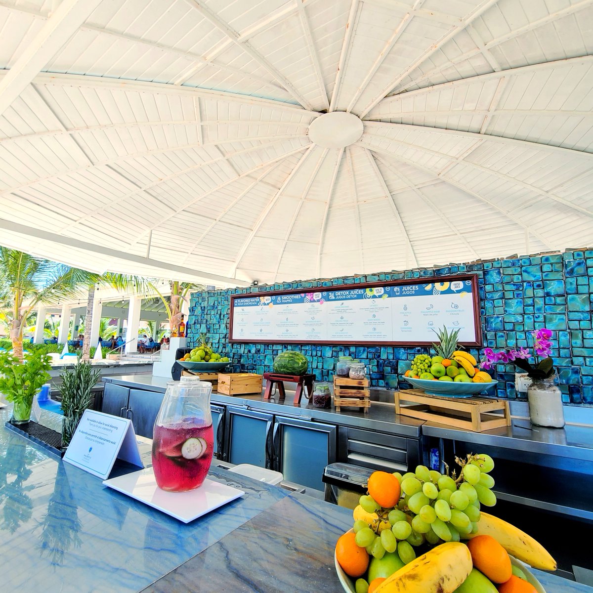 MajesticResorts's tweet photo. We all enjoy a good #smoothie, don't we? Visit our new #PureBar in the #FamilyClub section of #MajesticElegance Costa Mujeres or the #BeachBar at #MajesticMirage Punta Cana to indulge in this delectable superfood. https://t.co/JyC8u49YJ3 https://t.co/lccQlU9AuT