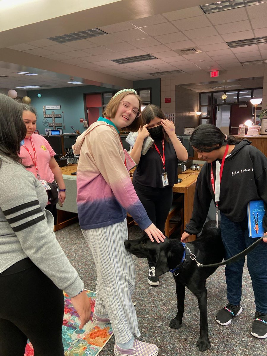 TJHS_Tara's tweet photo. @tjhslibrary_ Students had a wonderful experience meeting Lenny - he's a support dog in training- the class has voted and all agree he's wonderful! #spiritofinclusion https://t.co/fim8k27IMw