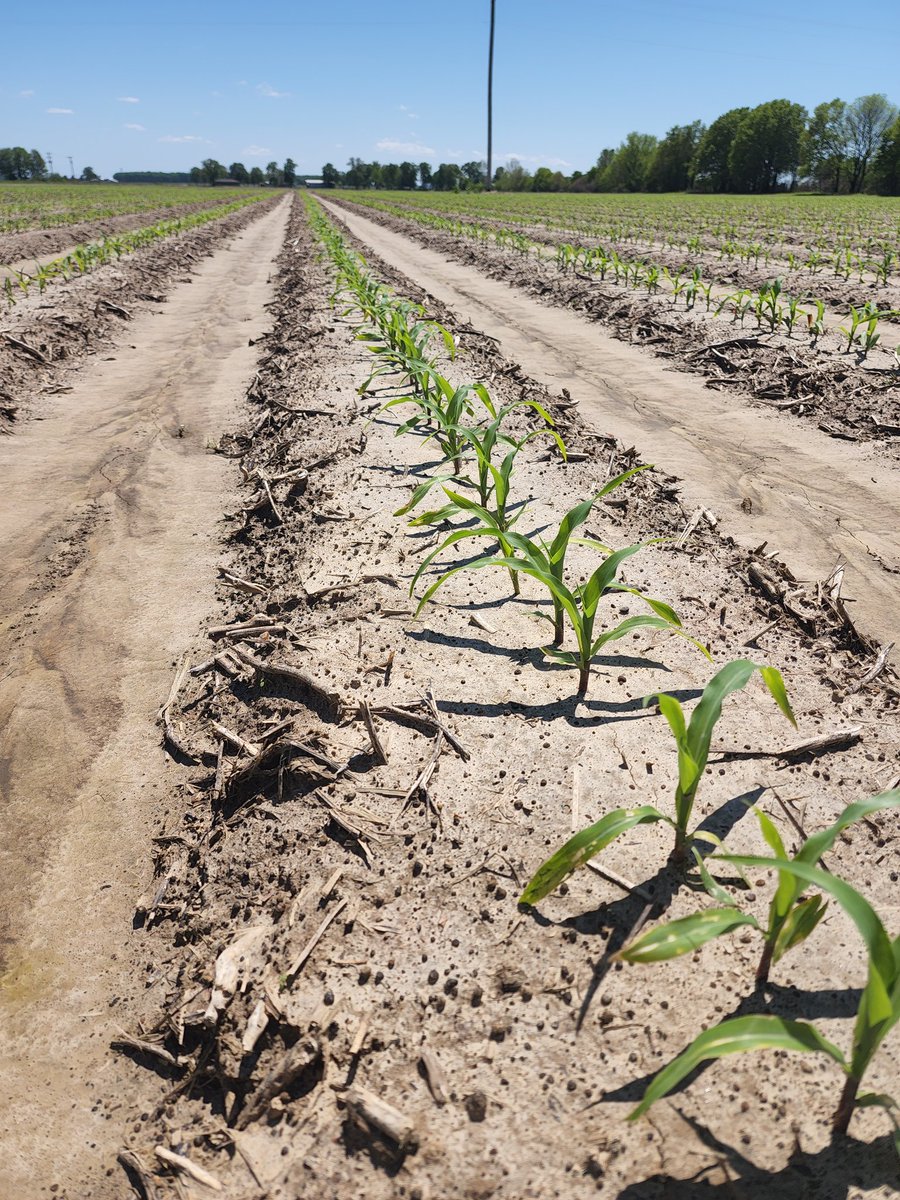 #Plant22