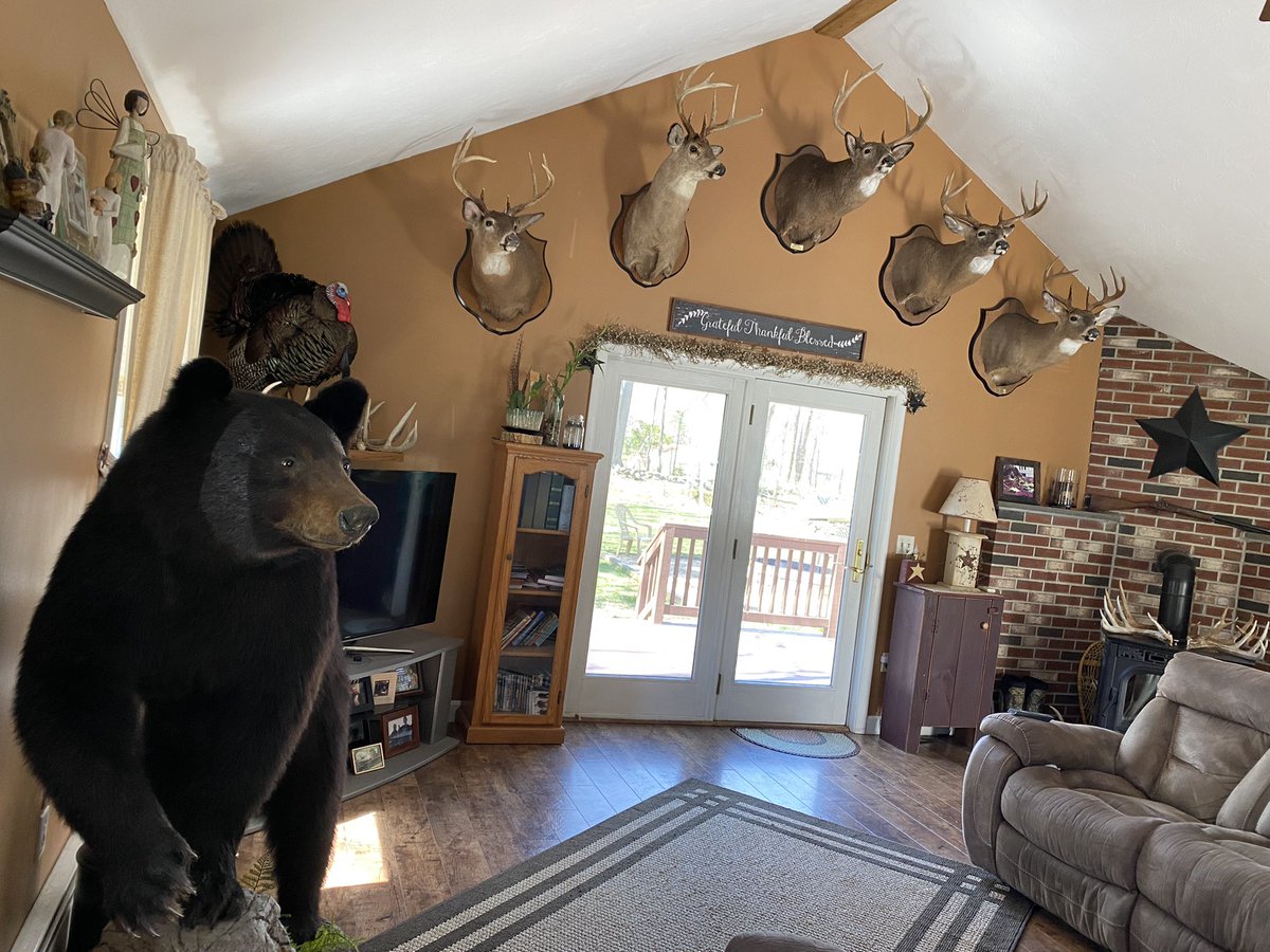 Just picked up my 2021 10 point for the taxidermist. He’s taking his rightful place on the wall. (Second from right).