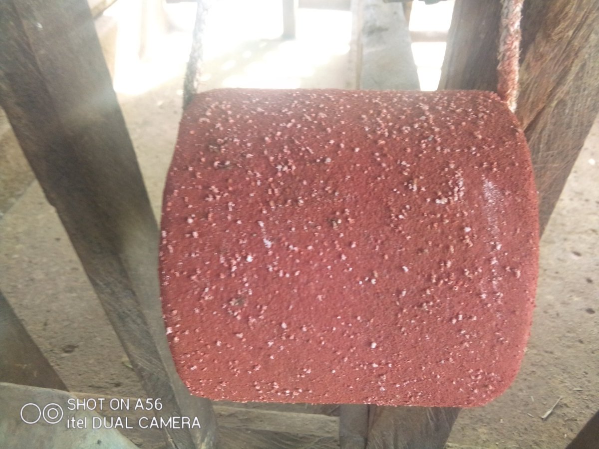 SamTibine's tweet photo. These are essential for mineral salts for both calves, heifers as well as milkers https://t.co/MaK75GunH8