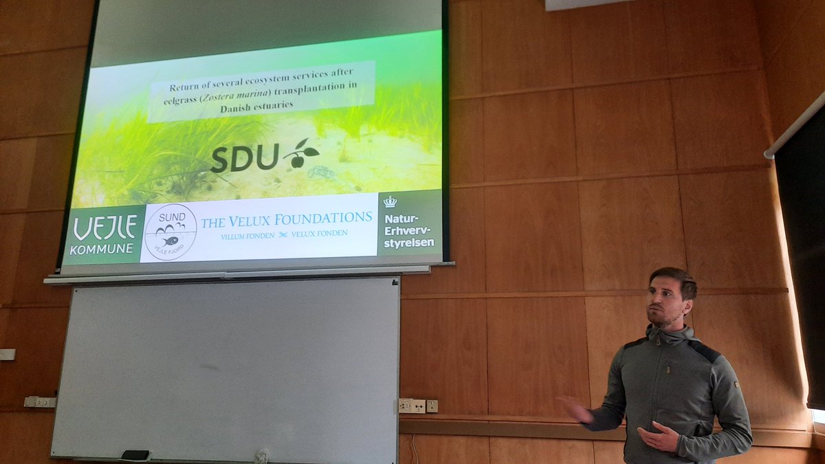 Ana Sousa (@anaifsousa) on Twitter photo Great talks last week <a href="/UnivAveiro/">Universidade Aveiro</a> @CESAM_Univ about Large-scale seagrass restoration in DK, by Timi Banke and <a href="/Rune_Steinfurth/">Rune Steinfurth</a> from <a href="/SyddanskUni/">Syddansk Universitet</a> <a href="/NATsdu/">SDU Science</a>.🌍 Great talks last week <a href="/UnivAveiro/">Universidade Aveiro</a> @CESAM_Univ about Large-scale seagrass restoration in DK, by Timi Banke and <a href="/Rune_Steinfurth/">Rune Steinfurth</a> from <a href="/SyddanskUni/">Syddansk Universitet</a> <a href="/NATsdu/">SDU Science</a>.🌍