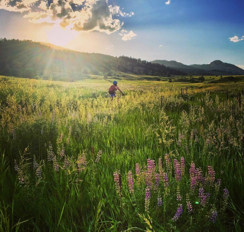 VisitFtCollins's tweet photo. There's nothing more Fort Collins than epic trails and amazing beer. Head to the link in our bio for bike and brew pairings you can't miss out on. 🚲🍻
#LoveFortCollins #VisitFtCollins #VisitFortCollins #ColoradoLive https://t.co/rs332DmcyG https://t.co/AxLHUyKTLE