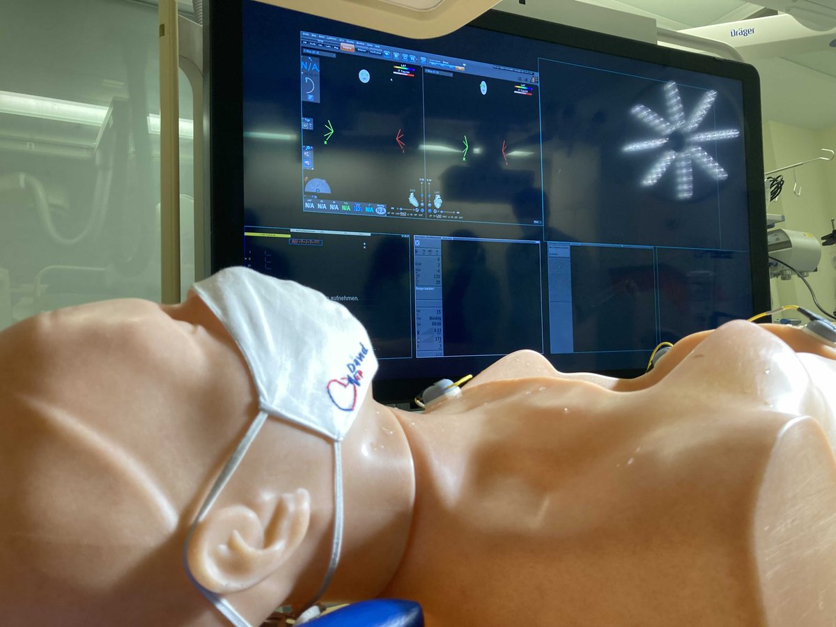 dr_pmueller's tweet photo. 1/ Today fun session in the #EPlab with #EPDavidSimulator. Great tool for our #EPFellows to train navigation of cath movements 🎯🫀

🙏🏻@BiosenseWebster to realize this project! 

#EPeeps @KKliniken @DavidDuncker @Dominik_Linz @ALFIEEP1 @MDTolgaAksu @hhuang123 @DhirajGuptaBHRS https://t.co/kTsOvxkfeA