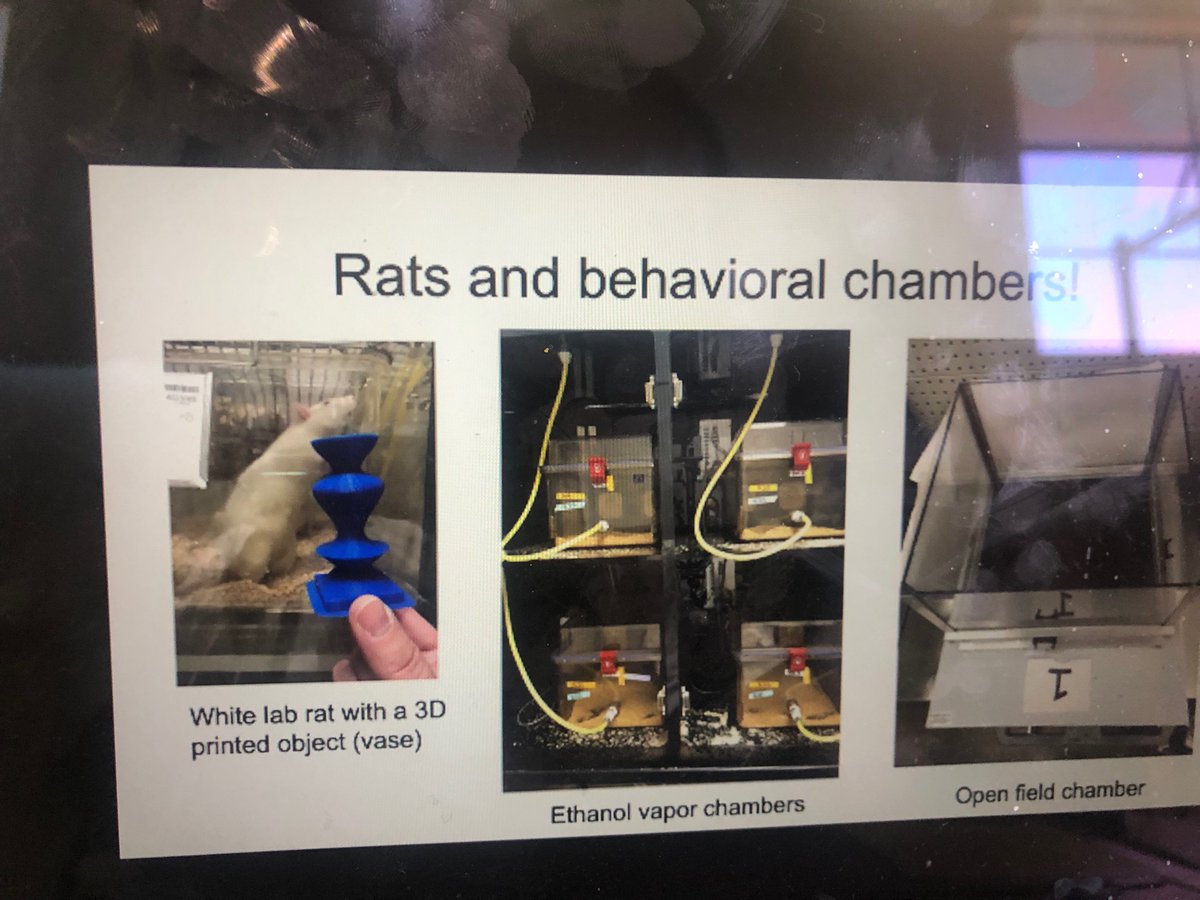 Amber Walsh (she/her) tweet media