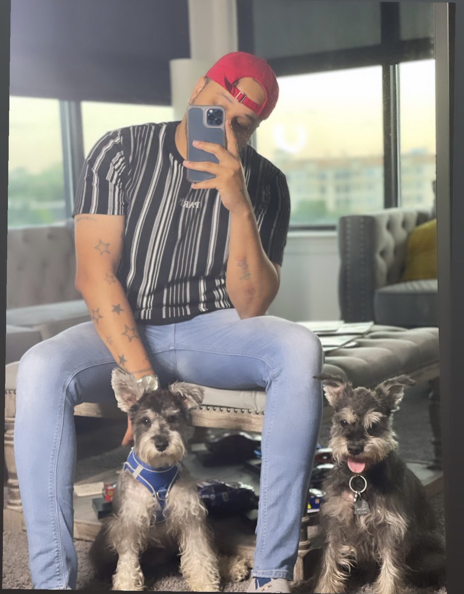 That_Guy_Trei's tweet photo. This was pretty difficult. As you can see Toni stay ready, but that damn Braxton Wheeww all over the place. #DadDog #MiniatureSchnauzer https://t.co/evi4sotqsV