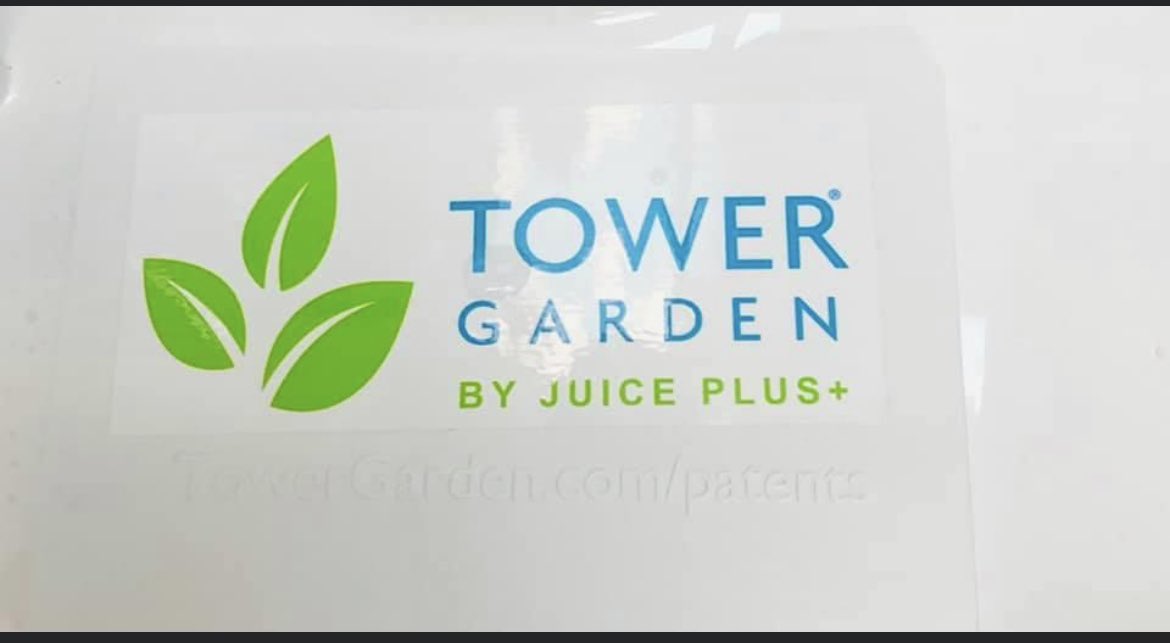 Mrs. Pavlovich tweet media