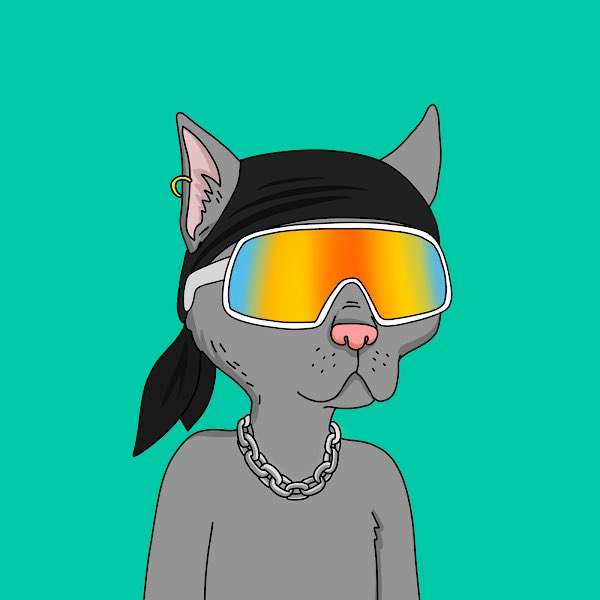 MetaMatt0's tweet photo. Worked my way up to my cat…He cool??@GutterCatGang GutterCatGang #ganggang https://t.co/lCABd59WjL