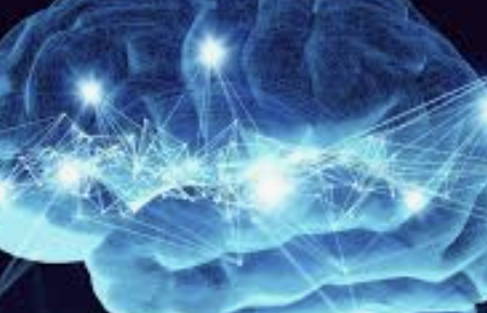ecalixto's tweet photo. El cerebro se adapta a la DESHONESTIDAD: la repetición del engaño hace que el cerebro pierda sensibilidad ante la mentira. 
#NeuroTuit https://t.co/HQJmq6SRYd