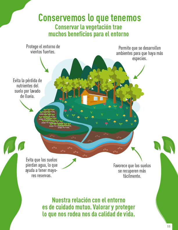 AcademicospCol's tweet photo. ¿Sabes por qué es relevante conservar la vegetación de los ecosistemas? La preservación de las especies vegetales contribuye a la recuperación de los suelos, pues evita que estos pierdan agua y nutrientes rápidamente por efecto del lavado de lluvia. #conservación #preservación https://t.co/Xh9B5uhsgG