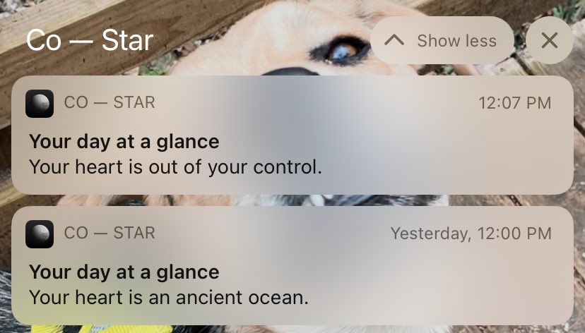 Wtf does this mean Co — star