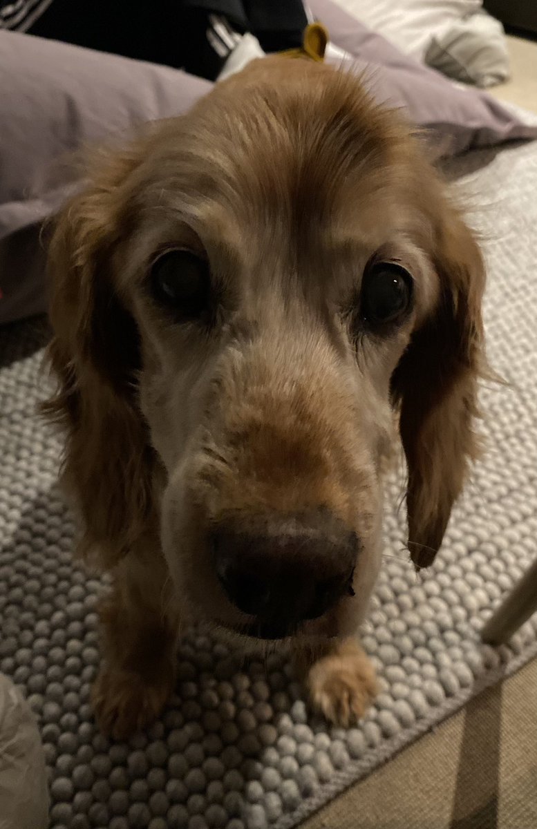 Richard Simcock tweet media