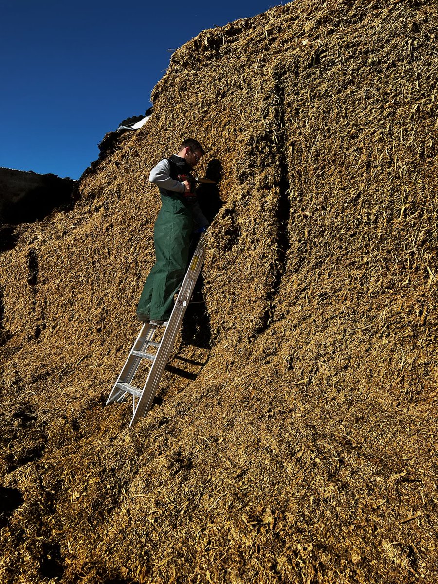 AgriKingInc's tweet image. Completing a SMART Check Forage report provides a complete analysis of your forage, including reviewing your forage management and testing forage samples in our own ANALAB, to ensure you are getting the most from your feedstuffs.