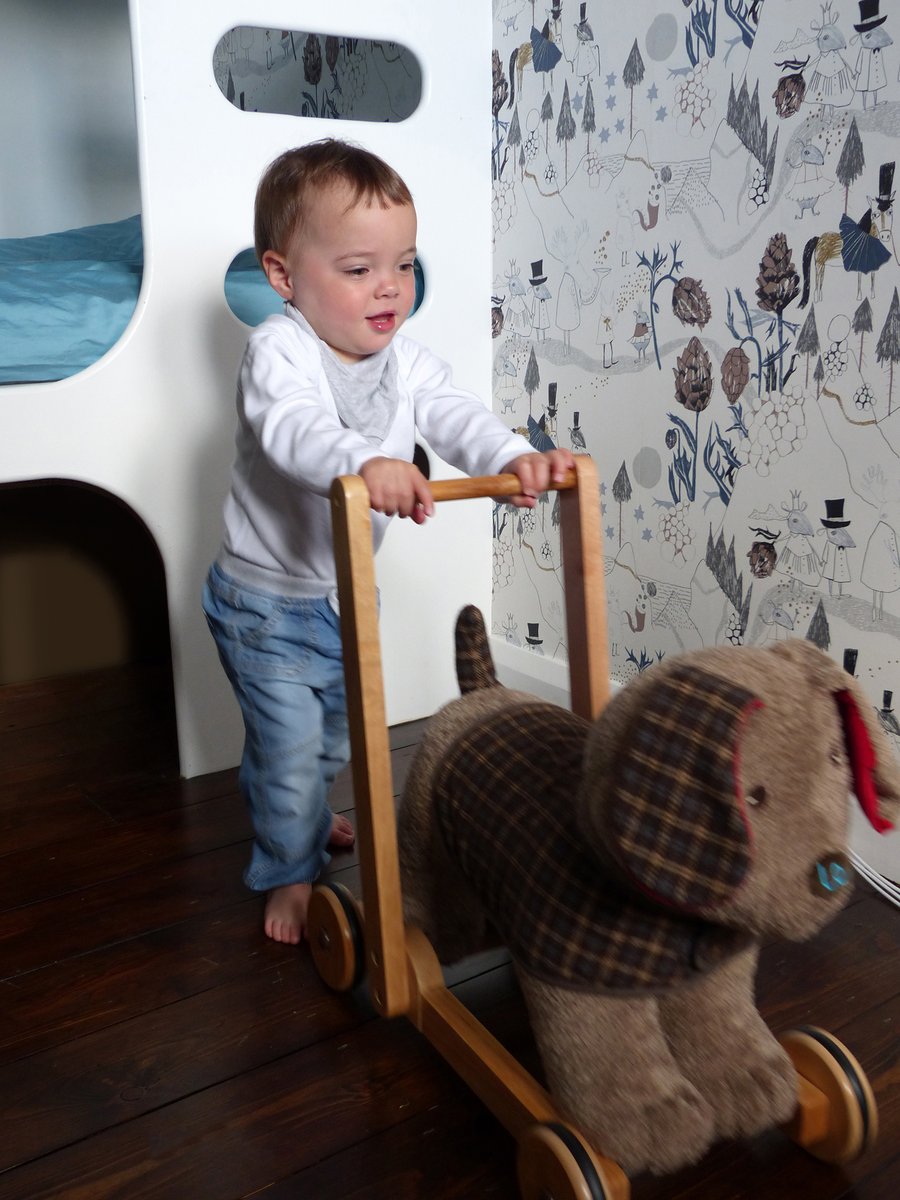 hotalingimports's tweet image. On Sale Now

Percy is a soft and endearing plush puppy, which makes him a great walking companion, he doubles as a great ride on too! 

#littlebirdtoldme #pushalongdog #pushalong #dogs #babywalker #toddler #rideontoys #pushalongtoys
