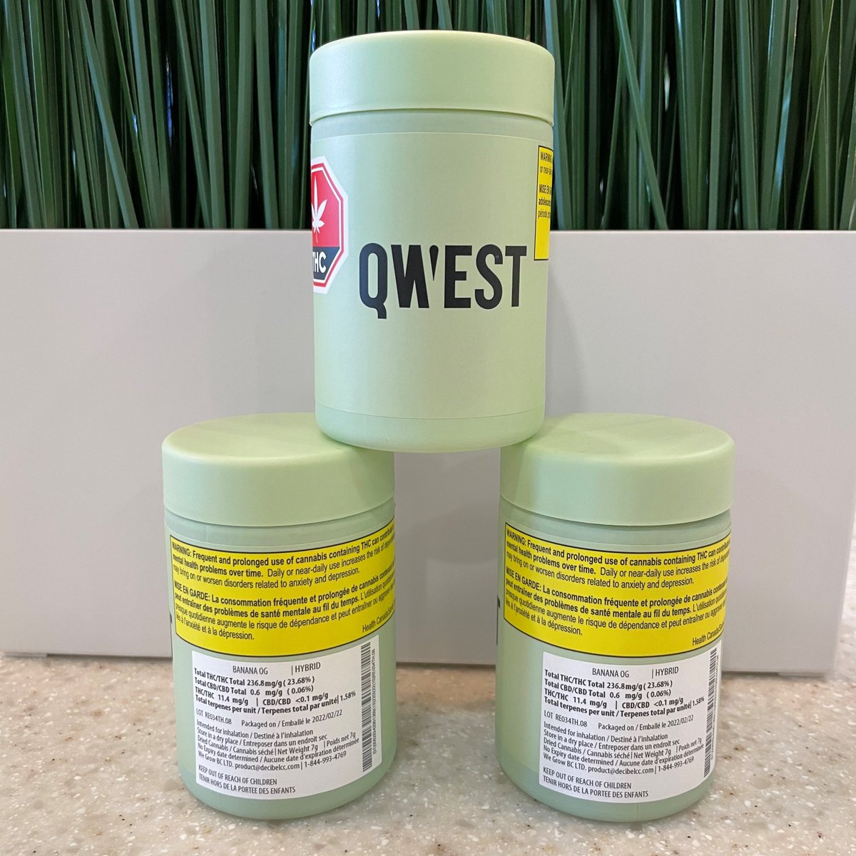 luxleafYEG's tweet photo. Banana OG 🍌 is not your average loaf. Subtle notes of sweet melon and under-ripe banana on the nose, but upon taste the classic sweet earth and dank hash flavor comes through.

@qwestcannabis was born from a deep appreciation for the plant and its process.

#luxleaf #hybrid #THC https://t.co/h9A1fT7ebG