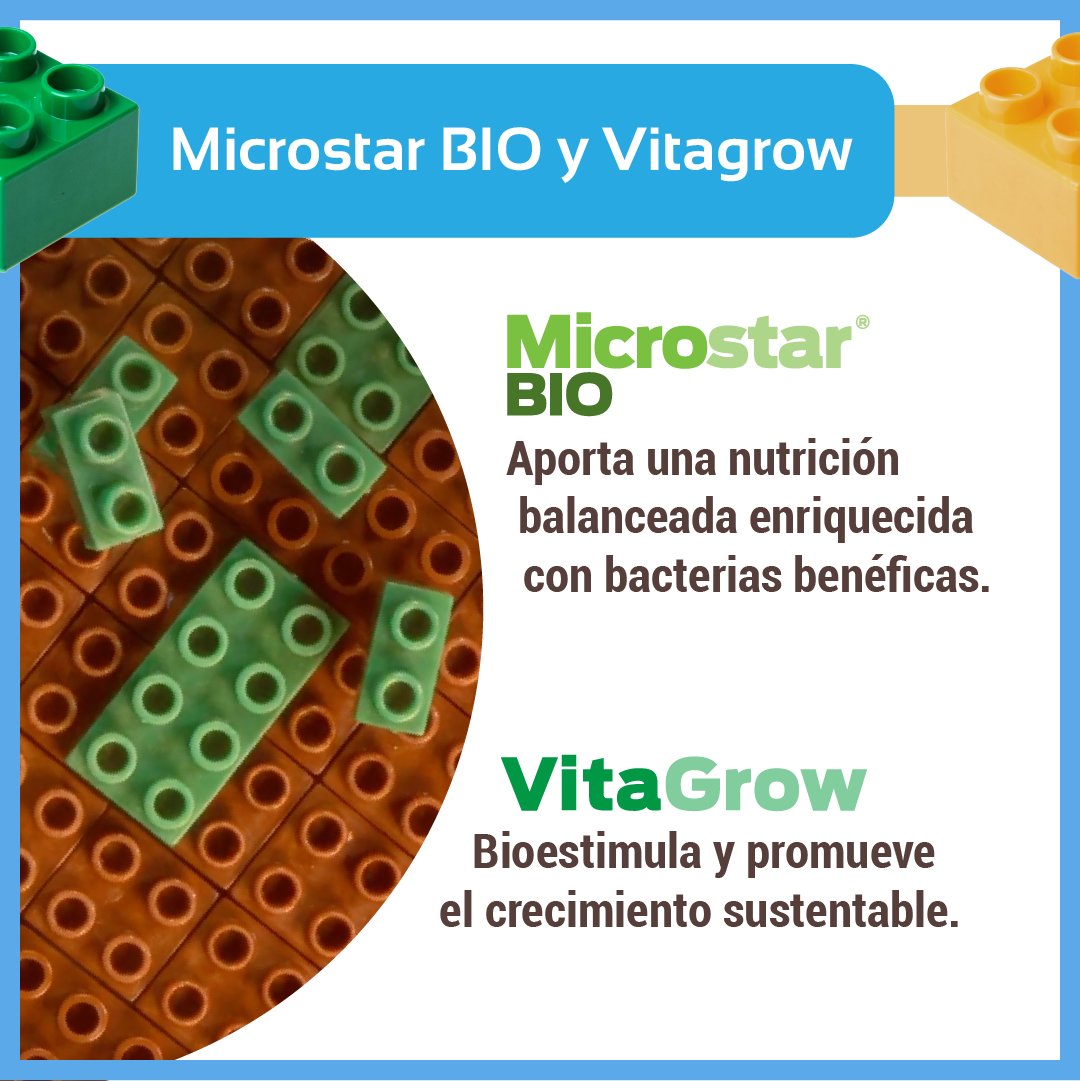 RizobacterARG's tweet photo. La #NutriBioEstimulación es un concepto que hace más eficiente la agricultura. Se basa en la sinergia entre la nutrición balanceada aportada por #Microstar BIO y la bioestimulación que genera #Vitagrow en los cultivos. https://t.co/ehSLJVYrZR