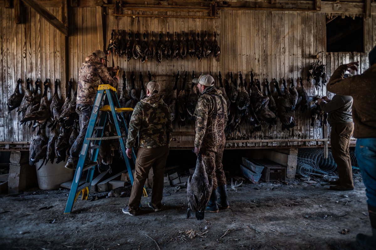 Duck Lander Call Co. tweet media