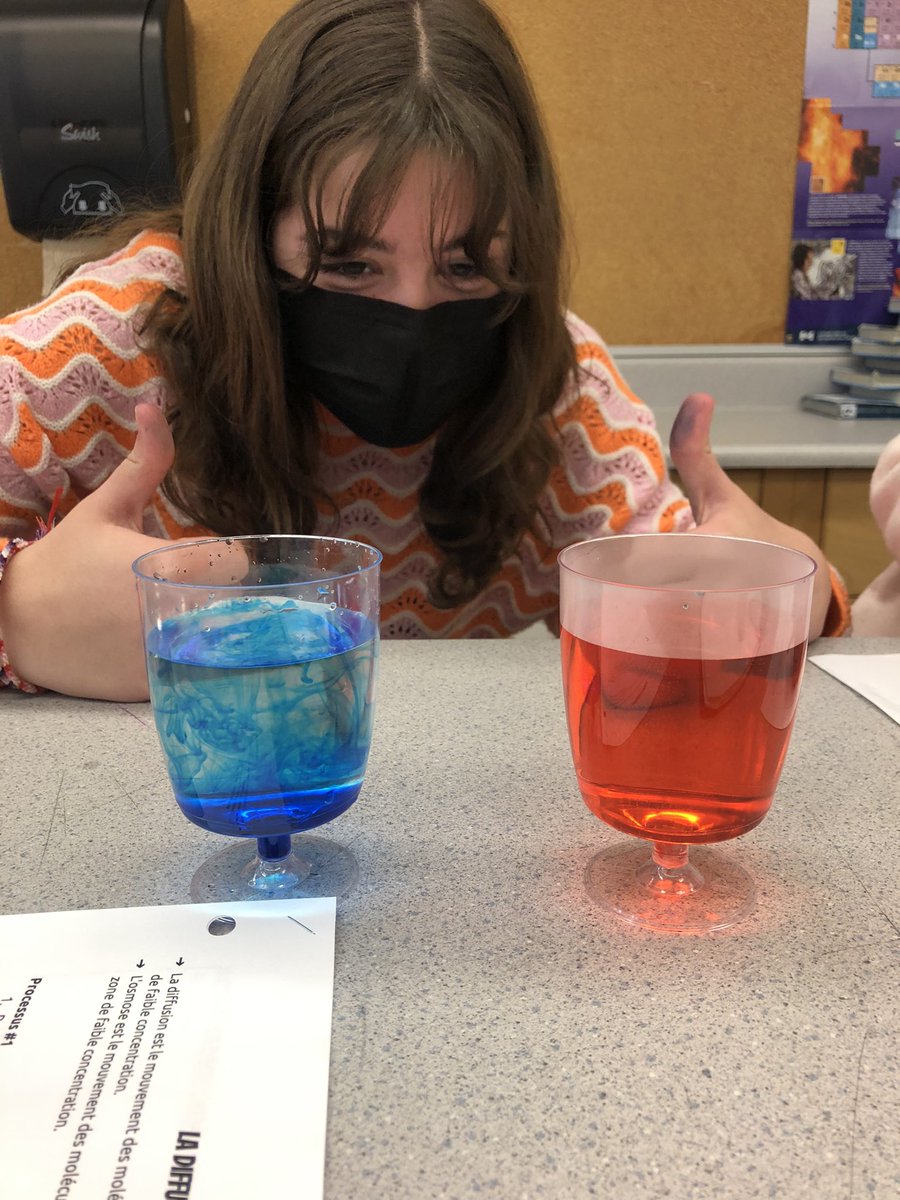 Aujourd'hui, nous avons exploré si la température affecte la vitesse de diffusion! <a href="/louisearbourfi/">Louise Arbour FI</a> <a href="/Jewlya_L/">Julia L</a>