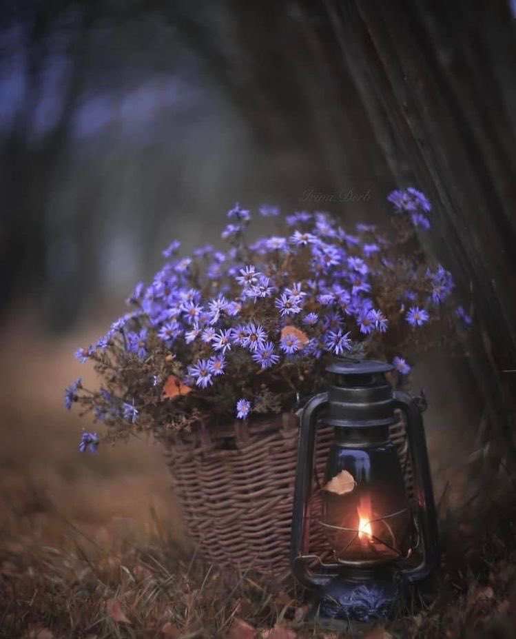 اللهم إنك قلت:
"فَمَا ظَنّكُم بِرَبّ العَالمِين "

فاللهمّ إنّا نظن بك: غفراناً ، وعفواً وتوفيقاً ، وثباتاً، وتيسيراً ، وسعـادةً ، 
ورزقا ً، وشفاءً ، وحسنَ خاتمة ٍ، وتوبةً نصوحاً.. وعتقاً من النار .. فهْب لنا مزيداً من فضلكَ يا واسِـع الفضل والعطاء..