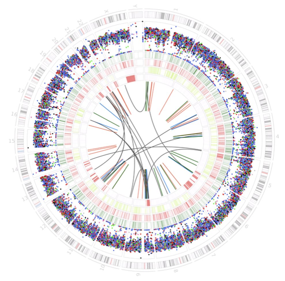 ScienceMagazine's tweet photo. A large-scale, whole-genome analysis in Science of over 12,000 cancers reveals previously unreported mutational signatures, including tumor-specific rare signatures. The findings could potentially help enhance personalized cancer treatments and diagnoses. https://t.co/qsR7ZYpFd9 https://t.co/svqAYgiAYn