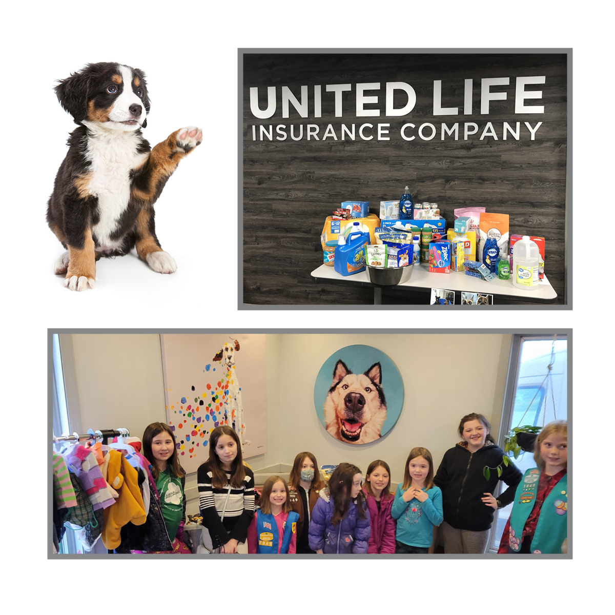 UnitedLifeInsCo's tweet photo. Paws-itively a team effort as United Life employees generously donated food, treats and cleaning supplies for Last Hope Animal Rescue. Girl Scout Troop 1949 made tie blankets for pet carriers, delivered the items and earned an animal rescue badge! https://t.co/ixxe3lxpZA