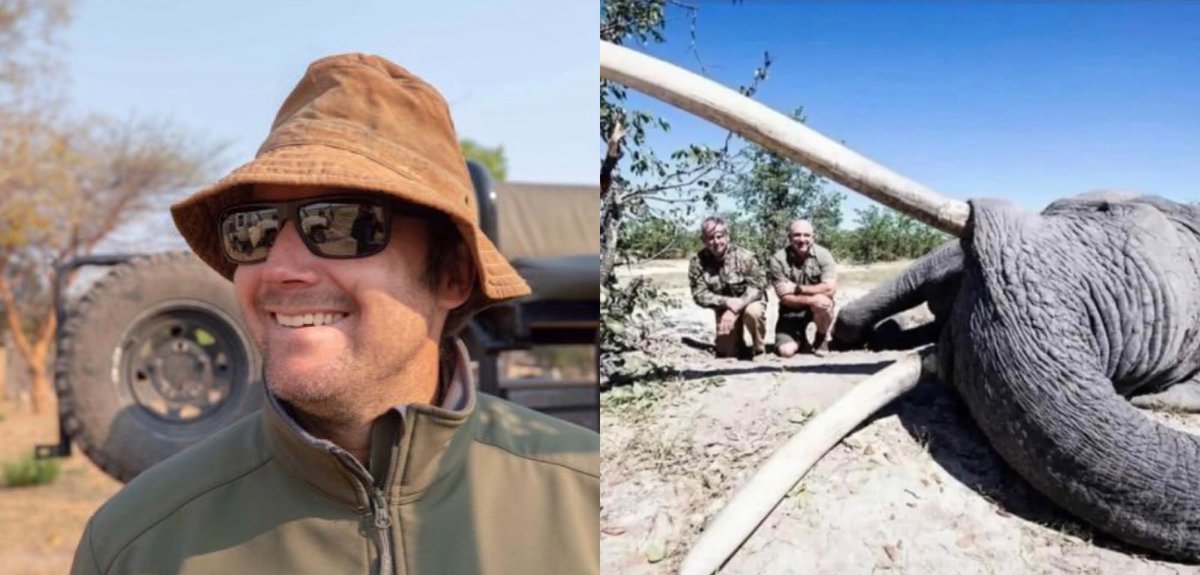 Leon Kachelhoffer tue le plus grand éléphant tusker du Botswana et tape la pose (Photo) - eteignezvotreordinateur.com/leon-kachelhof…