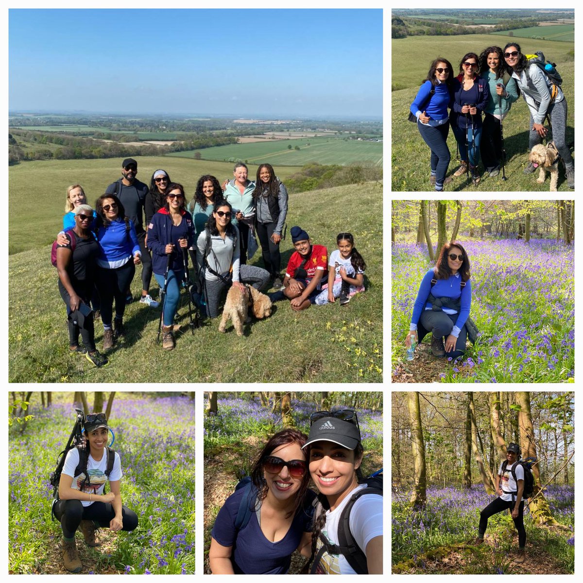 educatinggeeta's tweet photo. Dadima's 24th April #KinderScout hike was super special in the #chilternhills @chilternsaonb There's a series on my IG page for more videos &amp; pics. I've planned 2 expert led walks in May~see blog⬇️ https://t.co/AVIkxiYR3v #diversifythecountryside  #connectingpeoplewithnature 🌿 https://t.co/xgQHgFRbiX