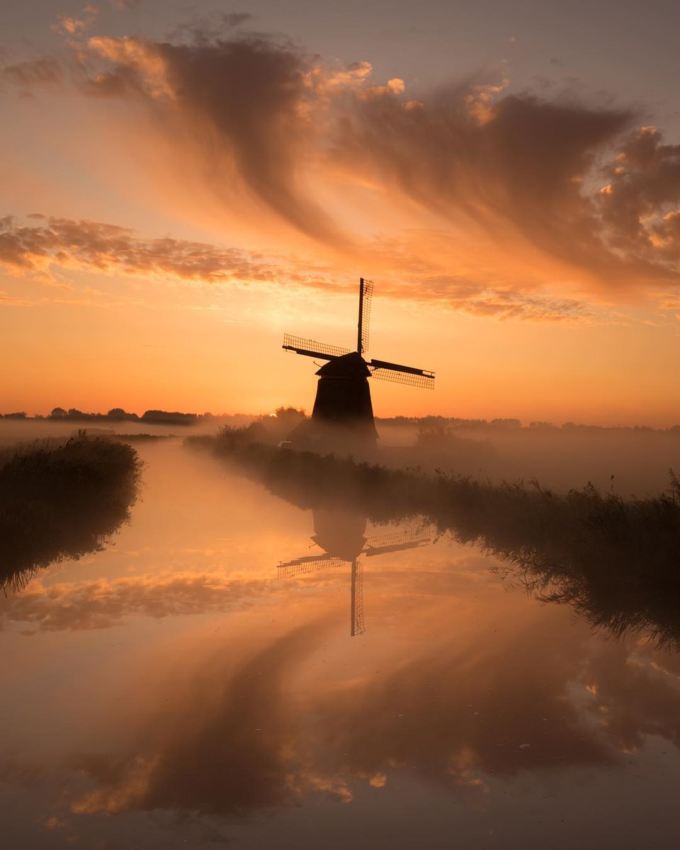 Mooie Koningsdag! 🧡 #Goedemorgen

📸 Marcel Witte