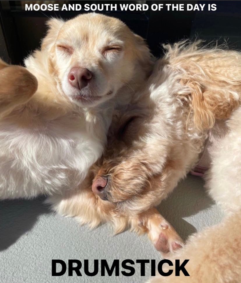 Moose and South Word of the Day (@moosensouthwotd) on Twitter photo 