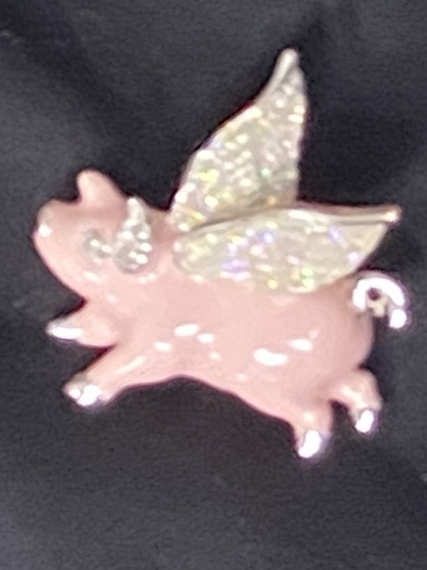 thefamouspaul's tweet photo. This was on my flight host’s lapel today as I head for #scooptopia A very good omen indeed! #pigasus #saltpork #vegas @SouthwestAir @heyscoops https://t.co/a3Jcr6eKVb