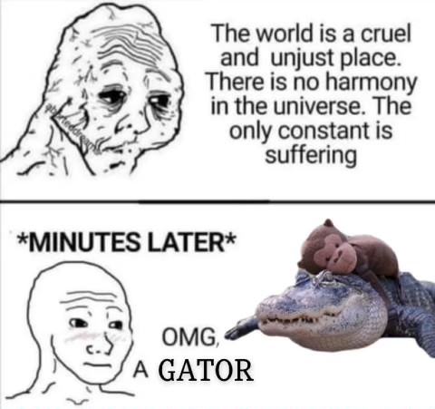 Gators Daily 🐊 (@gatorsdaily) on Twitter photo 