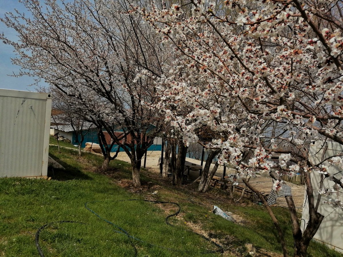 Evimize bahar gelmiş 🌺