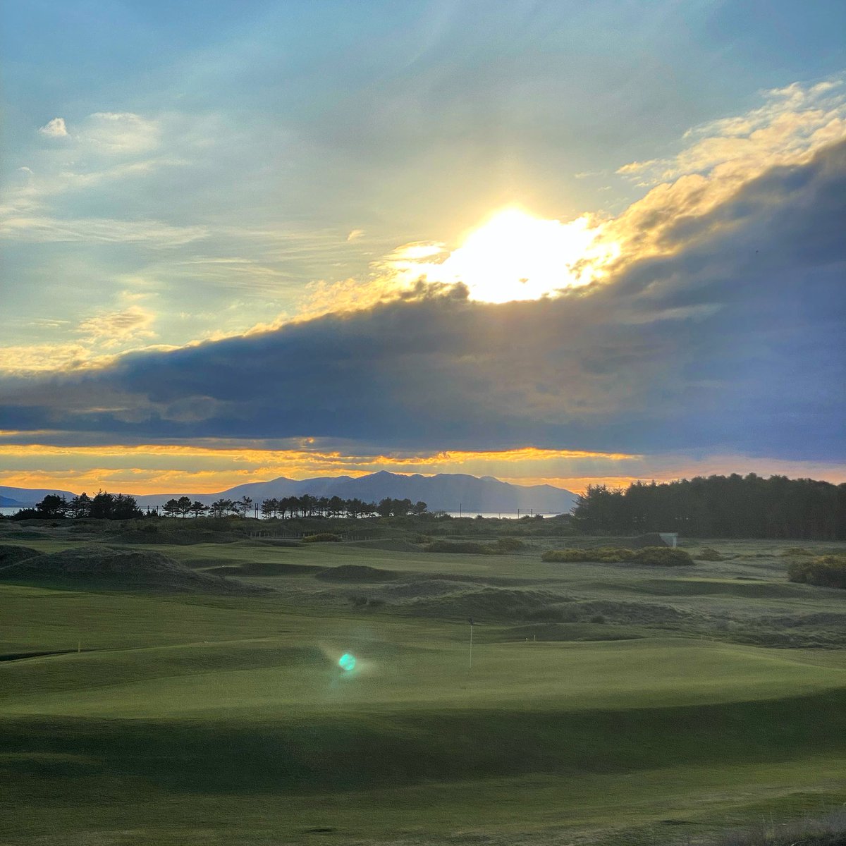 Peter Finch tweet media