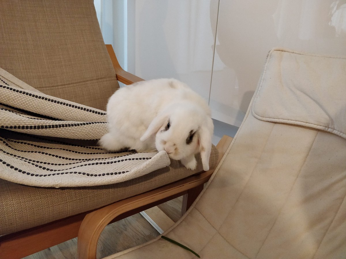 Tobias Pfeiffer tweet media