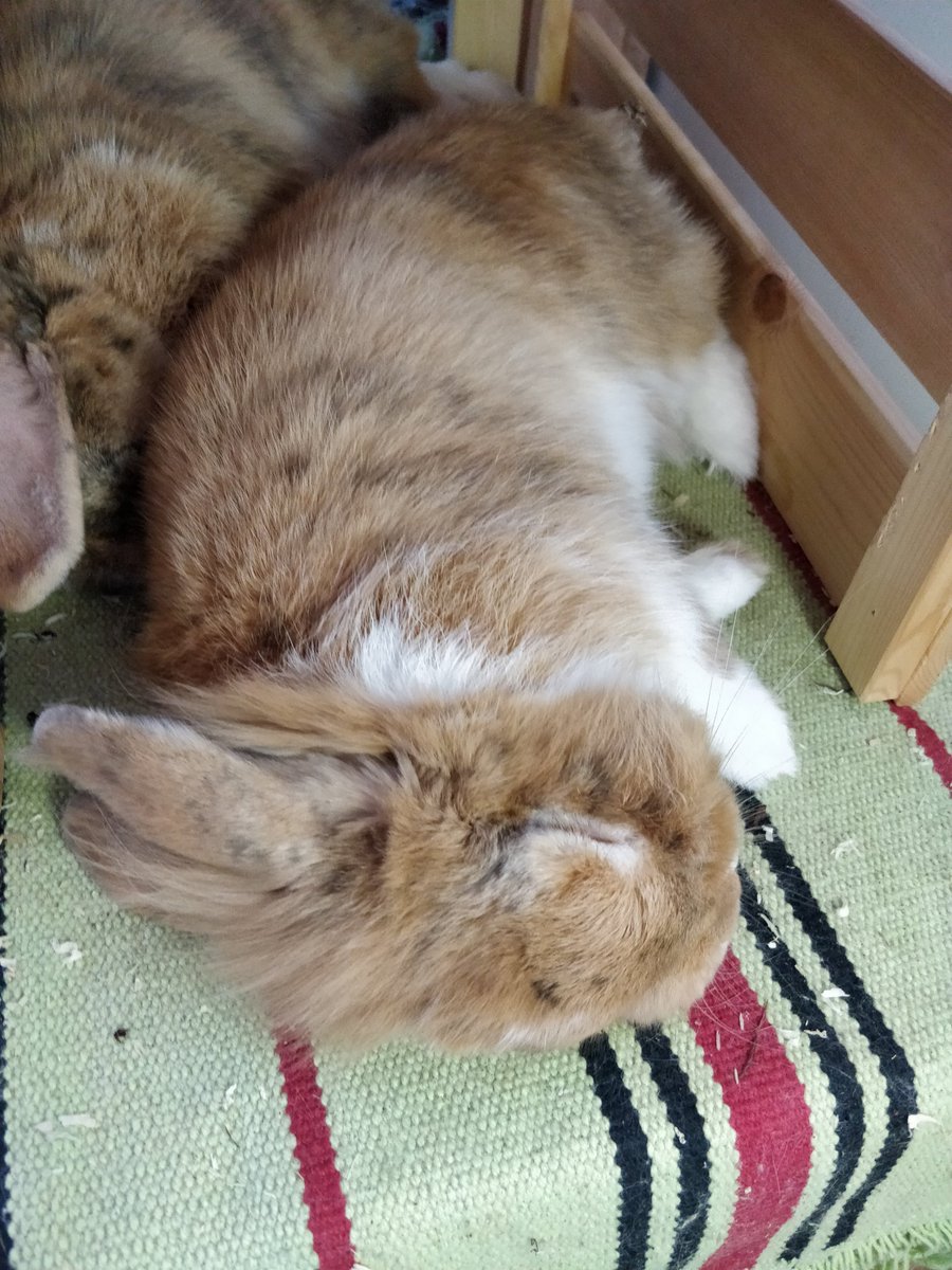 Tobias Pfeiffer tweet media