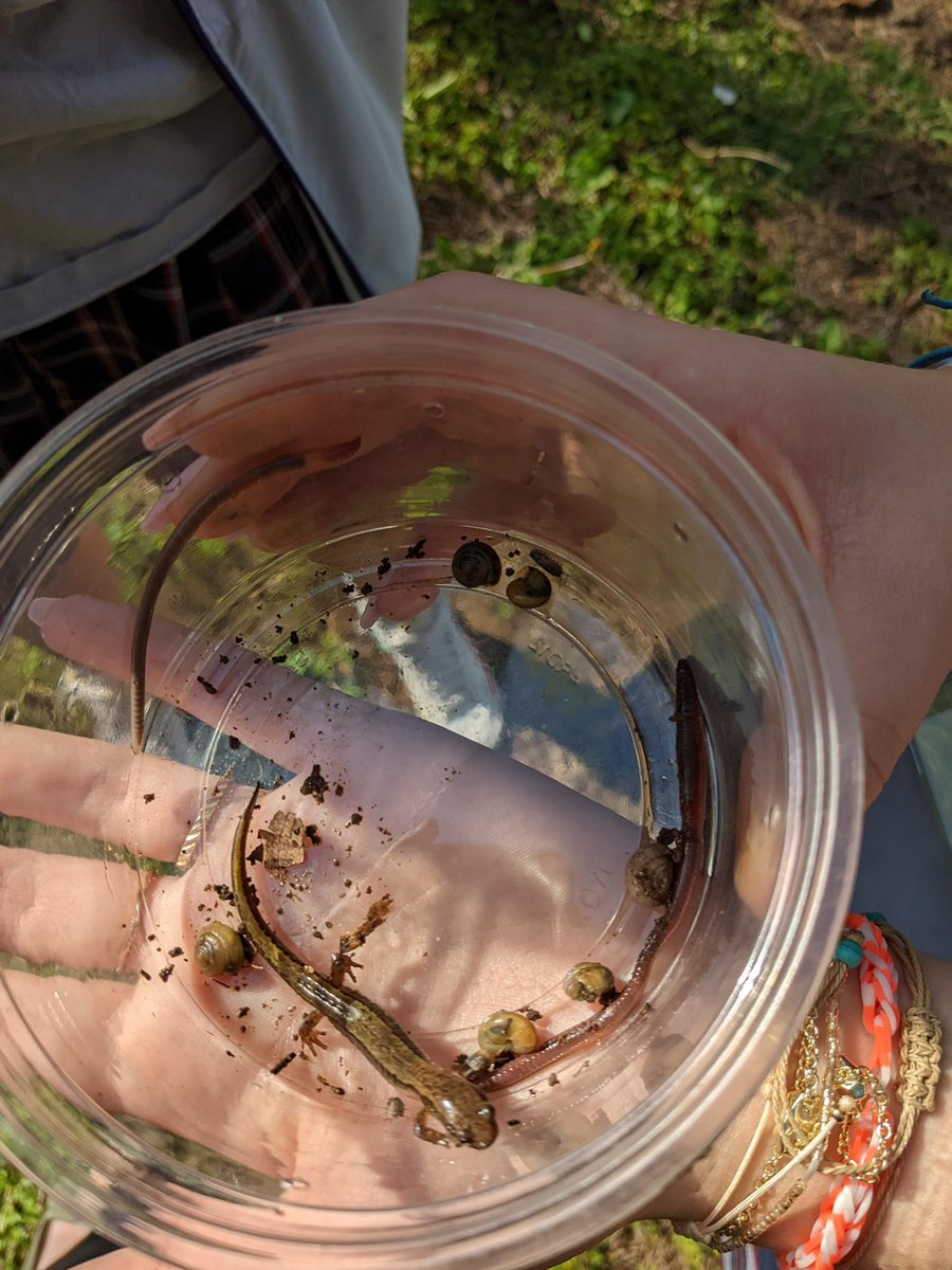 Father Ryan High School tweet media