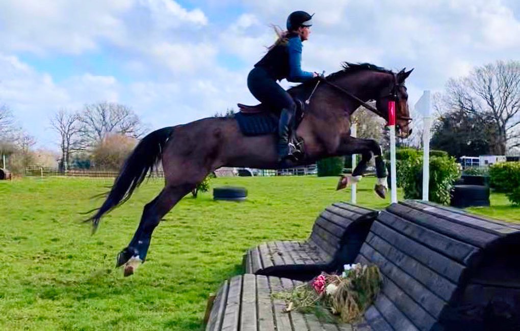 Pennymessenger's tweet photo. Littleton cross country practice with both ponies 😍 https://t.co/ILBdmUBuga