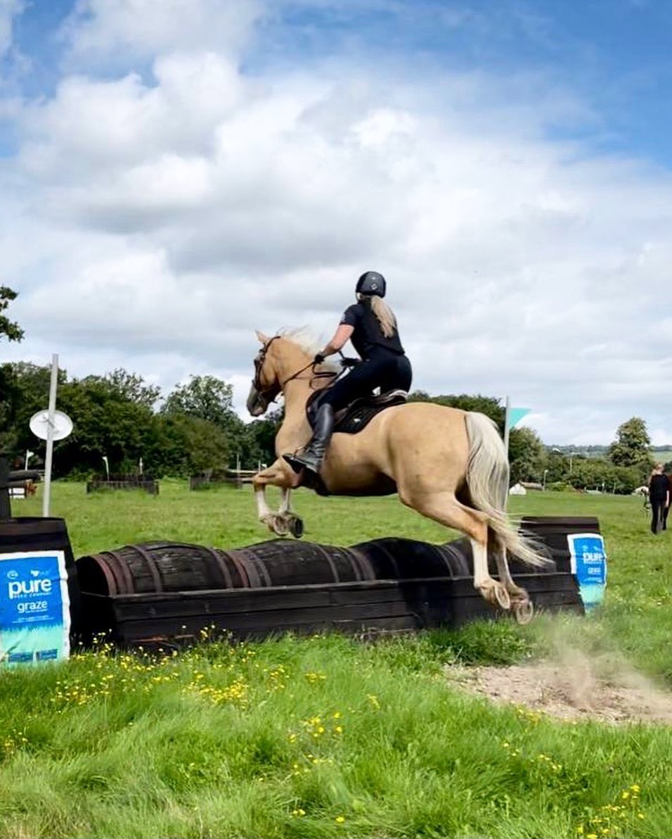 Pennymessenger's tweet photo. Littleton cross country practice with both ponies 😍 https://t.co/ILBdmUBuga