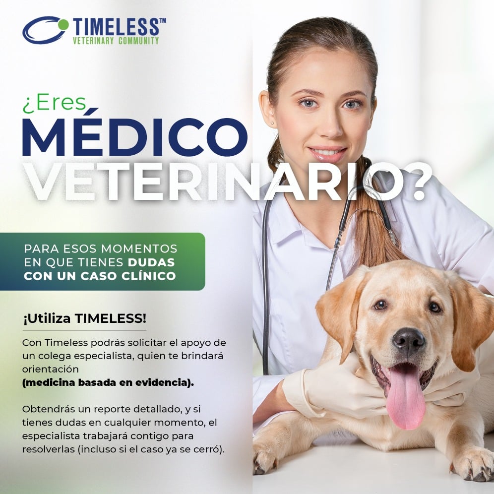 TimelessVetES's tweet photo. #MédicoVeterinario Pedir consejo a un colega especialista cuando tengas dudas, es una excelente forma de seguir aprendiendo y así ayudar a tus pacientes.

Regístrate en: https://t.co/JsUndpSkXU https://t.co/WuadiI5hgx