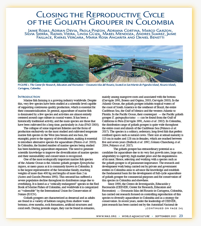 AUNAPColombia's tweet photo. #EsConHechos 🥳Nuestro articulo sobre el ciclo de reproducción del Mero, realizado #EnEquipo con el Centro de Investigación, Educación y Recreación (CEINER) fue declarado por la World Aquaculture Society 🌐 como el mejor artículo de 2021🏆 https://t.co/IFvM3Ajb9V