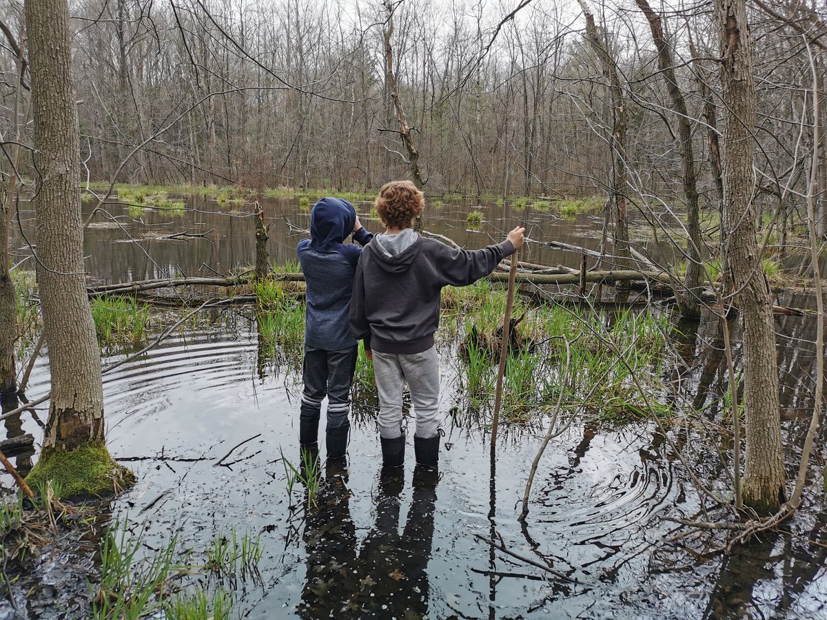 VansittartEEC's tweet image. What a great day to spend in the woods! Ss from @HicksonPS slowed down to notice Spring at the marsh today wearing boots from @Kamik #stepoutside #springpeepers #explore