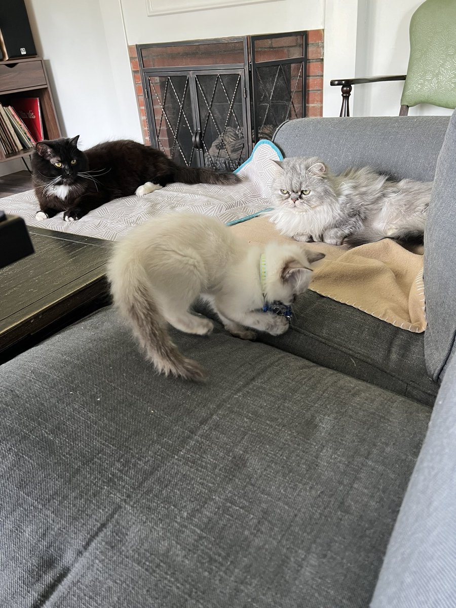 <a href="/relicofthepast/">Relic of the Past Podcast</a> <a href="/PenanceRPG/">Penance RPG 🐉 🏳️‍🌈 🐀</a> <a href="/TreasonNo/">Gunpowder, Treason, No Plot</a> <a href="/WebWitch81000/">👾 Nearly Blind Nut is Back?! 😹</a> <a href="/tofilium/">Shrekussy (they/ze)</a> <a href="/Muddlin_Through/">Muddlin Through</a> <a href="/StackODice/">Stack 🌻 Dice</a> <a href="/AnitaBridges2/">Anita Bridges</a> <a href="/xb0shi3x/">Brandalf the Blonde</a> <a href="/tykashow/">🐋</a> <a href="/DeGustafson/">Derek Gustafson (he/him) is Catface Games</a> @lionsoflegend <a href="/pwp_dnd/">🪄Power Word: Play🔥</a> <a href="/adora_belleD/">🇬🇧🇳🇿</a> @DangerDames @TheDice_Casters