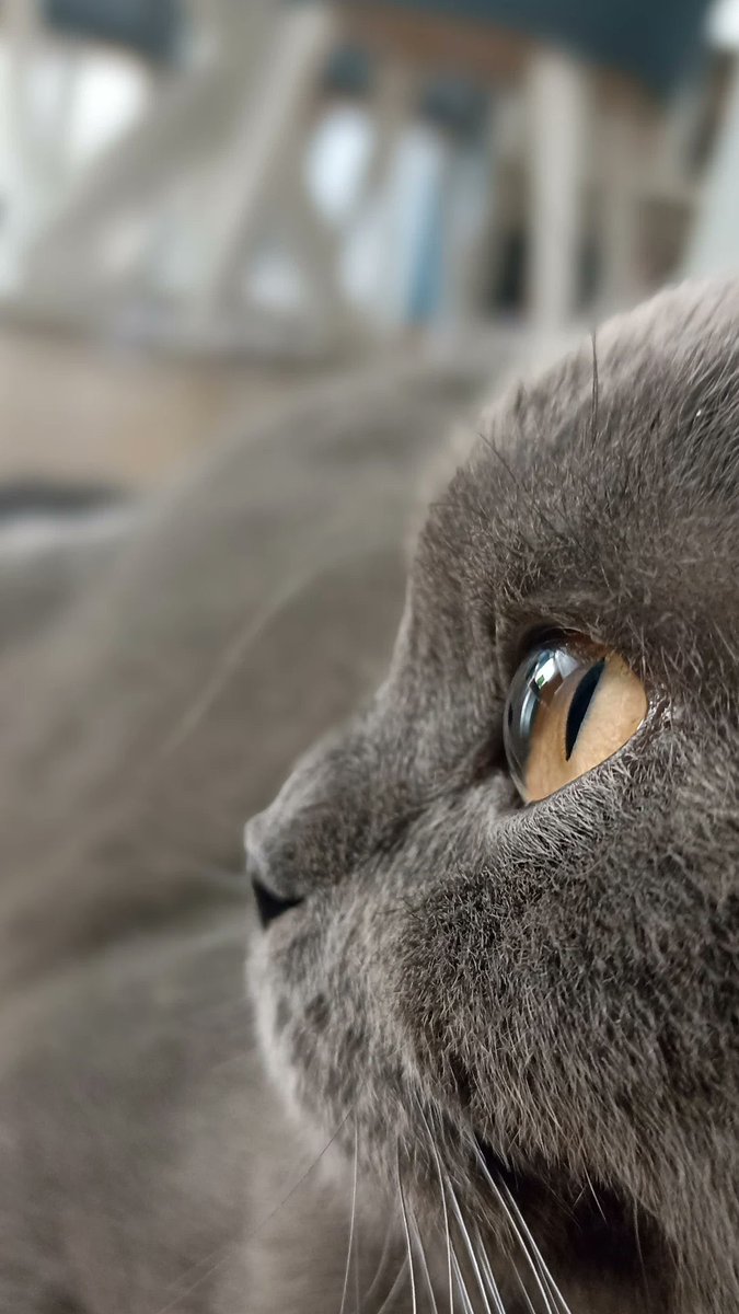 Abdi Baktur tweet media