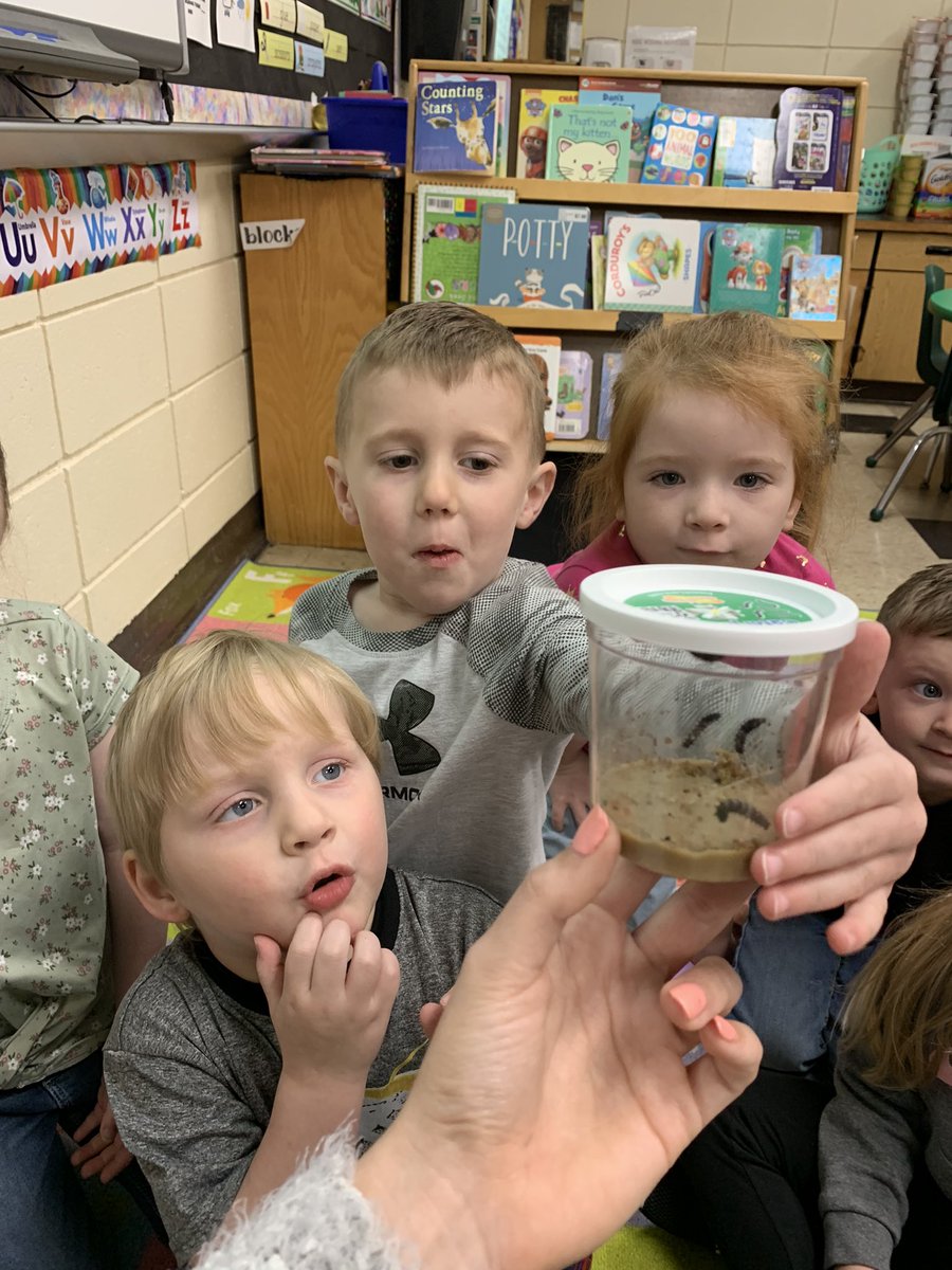 MPreschoolers's tweet photo. Miss Taylor’s preschoolers are learning about insects and we’re so excited to watch these little caterpillars turn into beautiful butterflies! 🐛🦋☀️ #littlezeps #insects #creativecurriculum #ovescworking4you #caterpillars #misstaylorsclass #gozeps https://t.co/f4Z79X2iEG