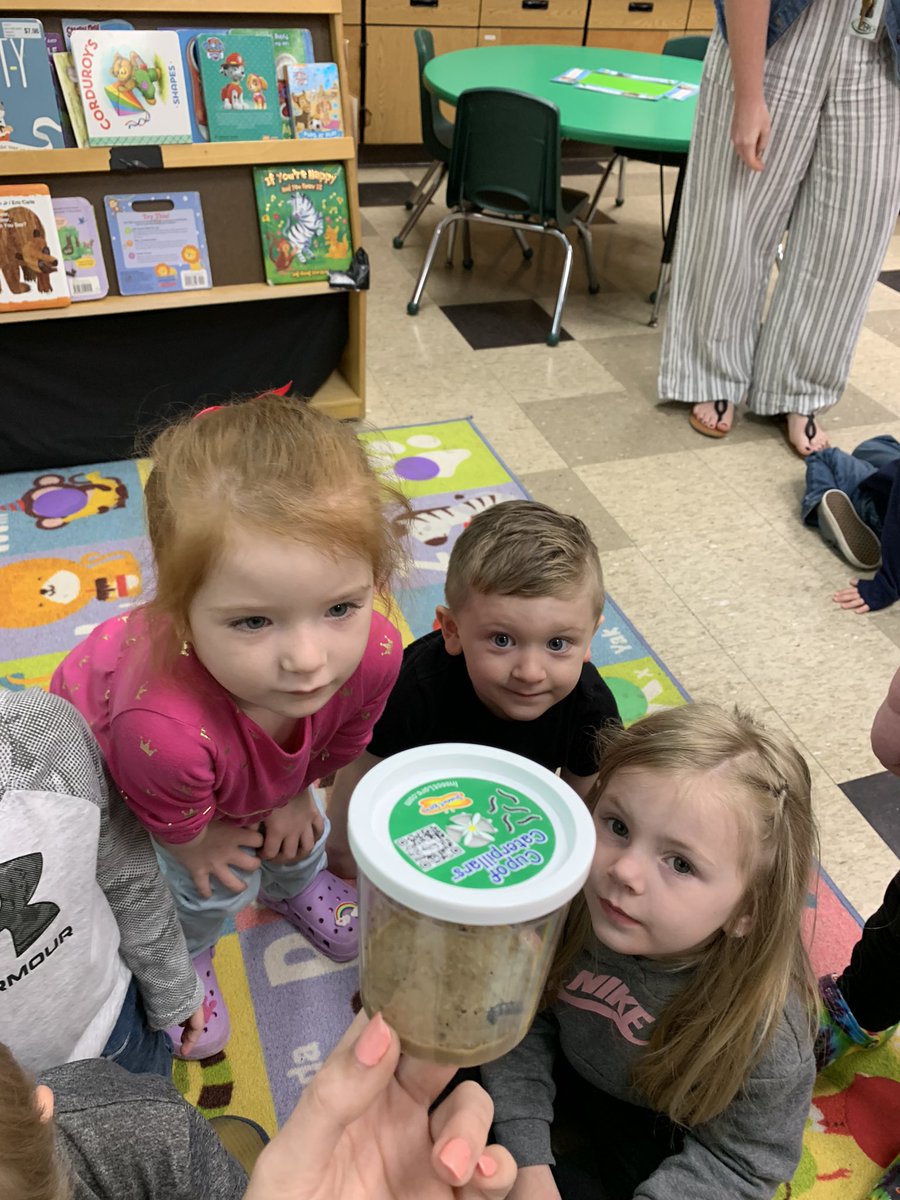 MPreschoolers's tweet photo. Miss Taylor’s preschoolers are learning about insects and we’re so excited to watch these little caterpillars turn into beautiful butterflies! 🐛🦋☀️ #littlezeps #insects #creativecurriculum #ovescworking4you #caterpillars #misstaylorsclass #gozeps https://t.co/f4Z79X2iEG