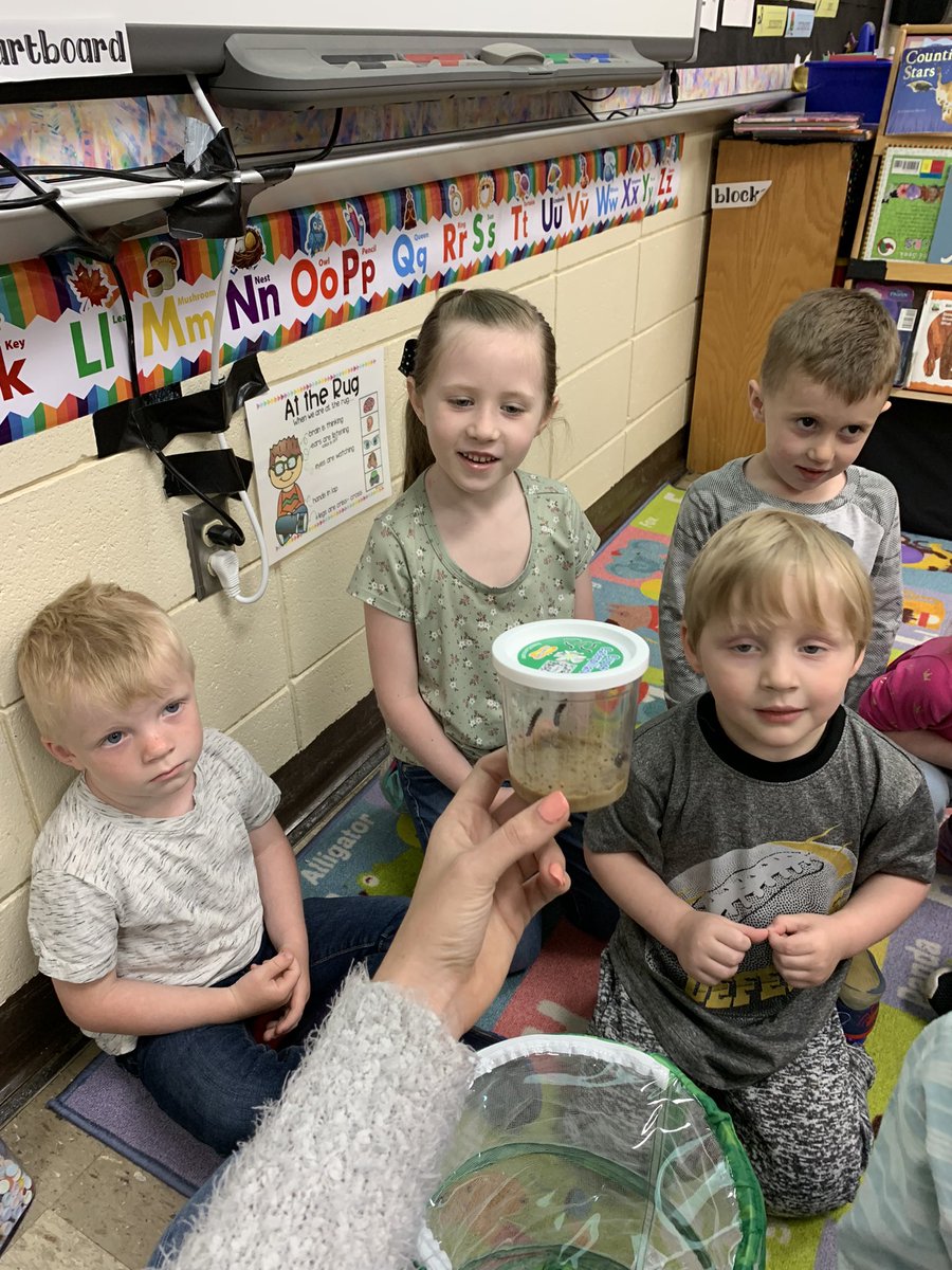 MPreschoolers's tweet photo. Miss Taylor’s preschoolers are learning about insects and we’re so excited to watch these little caterpillars turn into beautiful butterflies! 🐛🦋☀️ #littlezeps #insects #creativecurriculum #ovescworking4you #caterpillars #misstaylorsclass #gozeps https://t.co/f4Z79X2iEG
