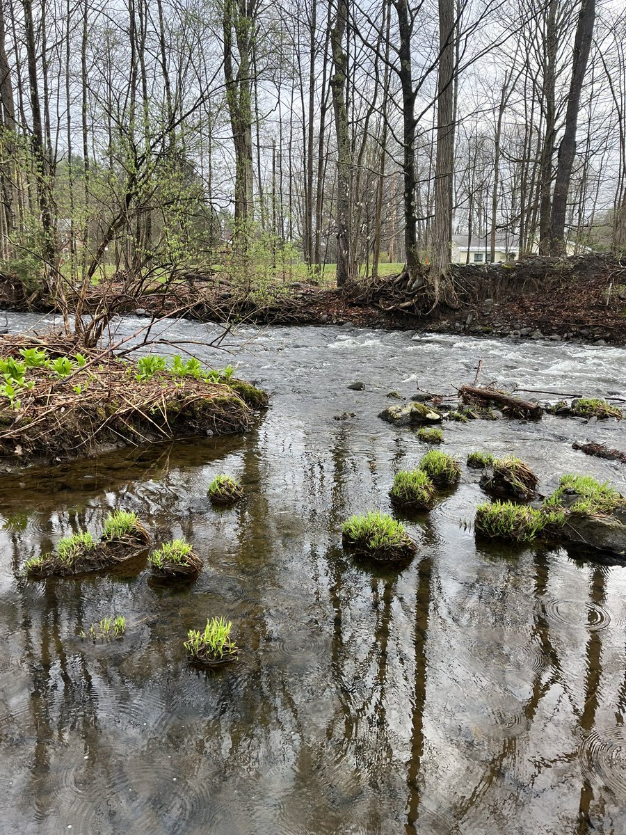 Alder Brook Park is under development with clearing having started last week. At the confluence of Alder Brook and Tsatsawassa Creek, fishing access will also be available.