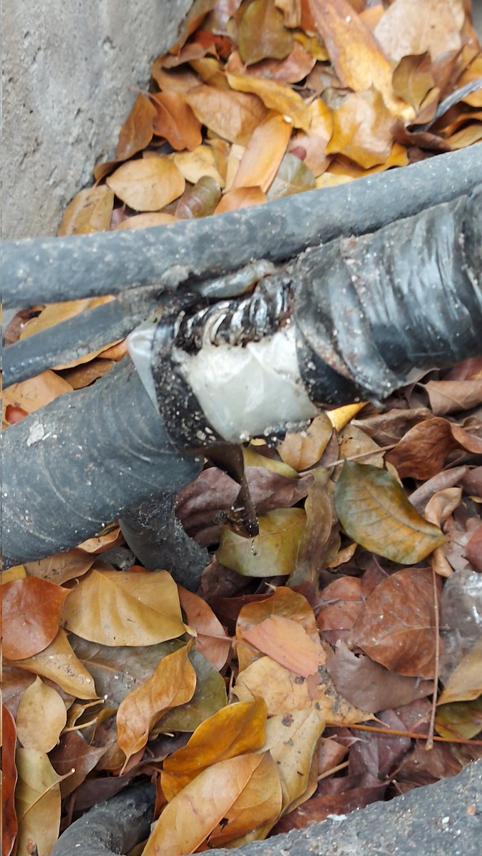asobarcelonacen's tweet photo. Este cable de alta tensión expuesto e  plena vía pública representa un grave peligro para vecinos y peatones de la zona, Av Barcelona de la California Norte https://t.co/fKdZQOGRC6