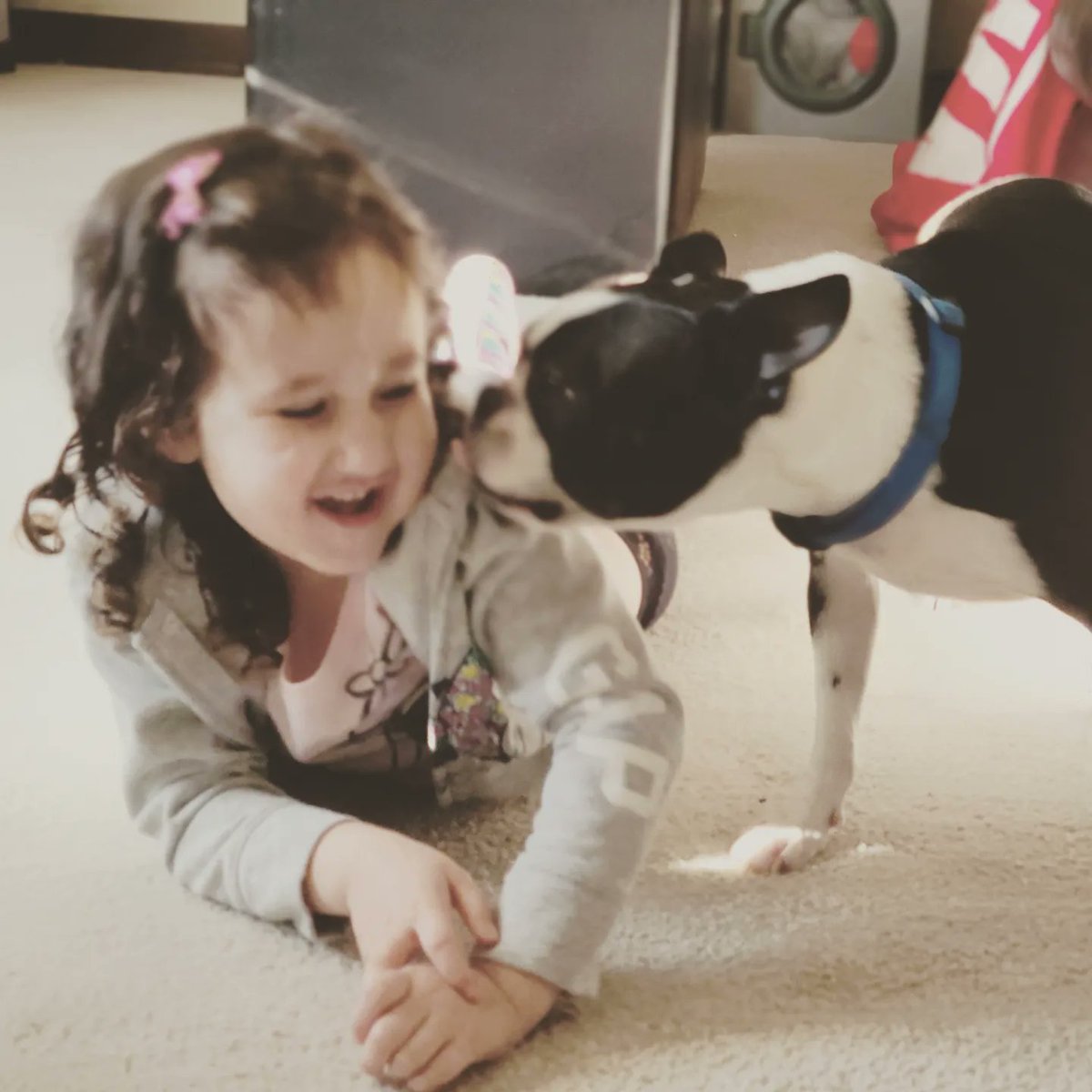 Micaelame123's tweet photo. Did you know it's National Kids &amp; Pets Day? Well, now you do. Enjoy my kids, with and without fur! #DobbinsFamilyAdventures #BestGoodFriends https://t.co/vKfSvp05df
